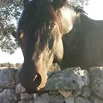 Feriegård Masseria Gianca Cisternino