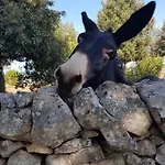 Masseria Gianca *