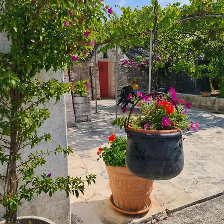 Çiftlik konaklama Masseria Gianca