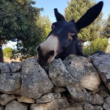 Masseria Gianca *