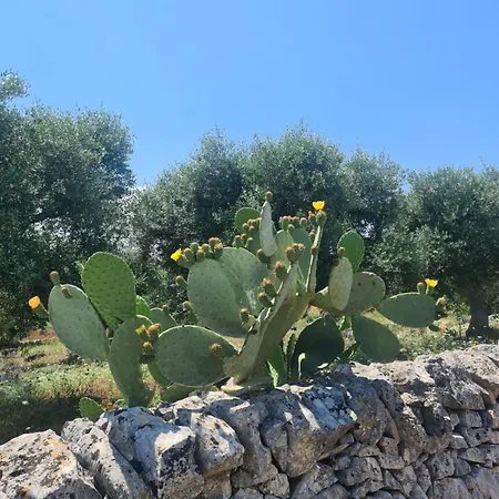 Masseria Gianca * Cisternino