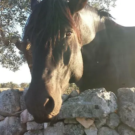 Фермерский дом Masseria Gianca Чистернино